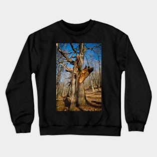 Huge oak tree Crewneck Sweatshirt